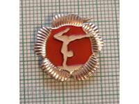 Badge - Rhythmic Gymnastics China