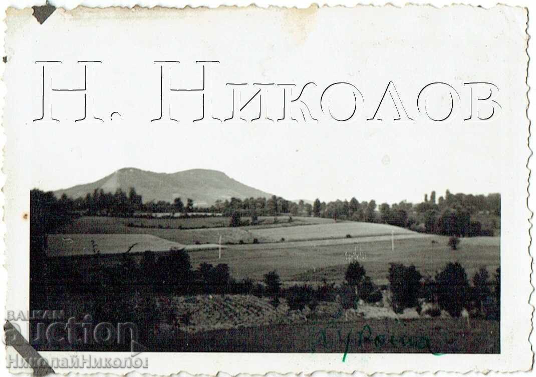 ΜΙΚΡΗ ΠΑΛΙΑ ΦΩΤΟΓΡΑΦΙΑ ΓΚΑΜΠΡΟΒΟ ΤΟΠΙΟ ΚΟΝΤΑ ΣΤΟ ΧΩΡΙΟ ΚΟΥΚΑΤΑ Ζ197