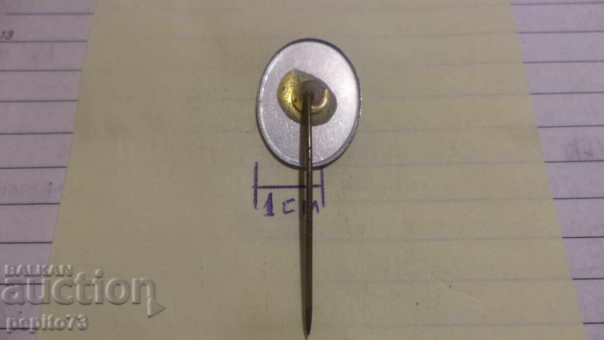 Livrarea Insigna publicitară, HEINZ, marcă supă concentrată