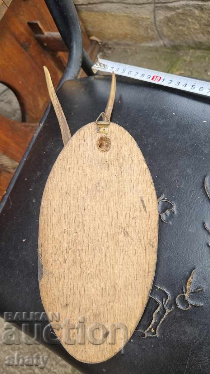 Livrarea Trofeu. Coarne Livrarea Trofeu. Coarne