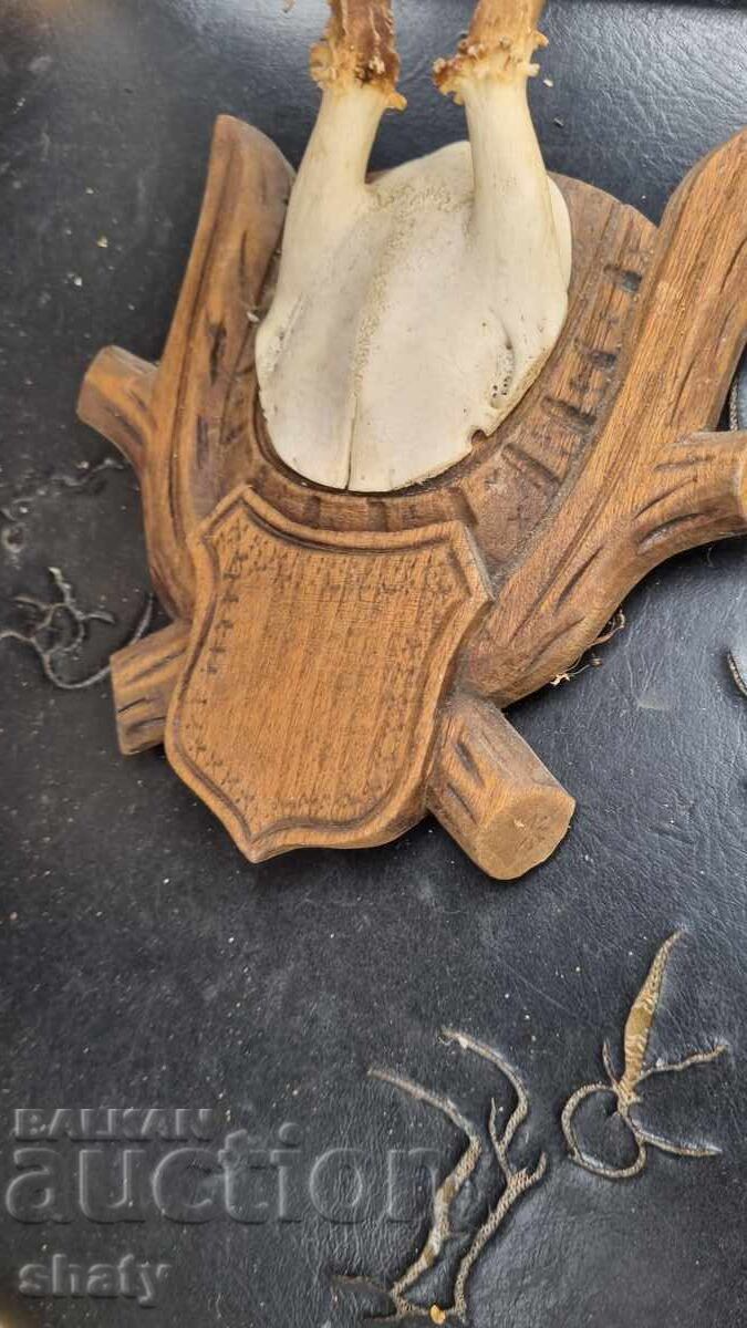 Livrarea Trofeu. Coarne