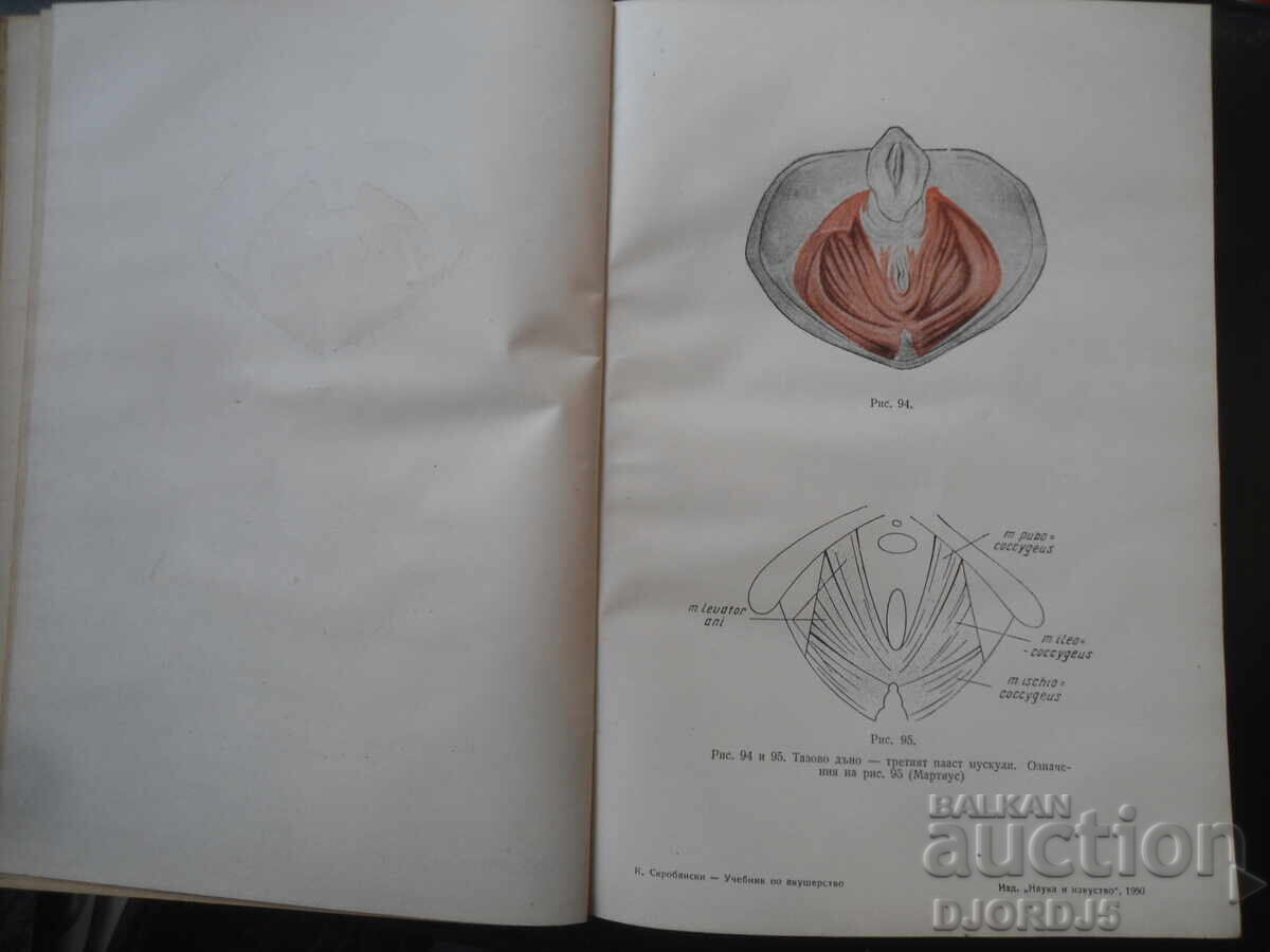 Manual de OBSTETRICĂ, K. K. Skrobanski - 5