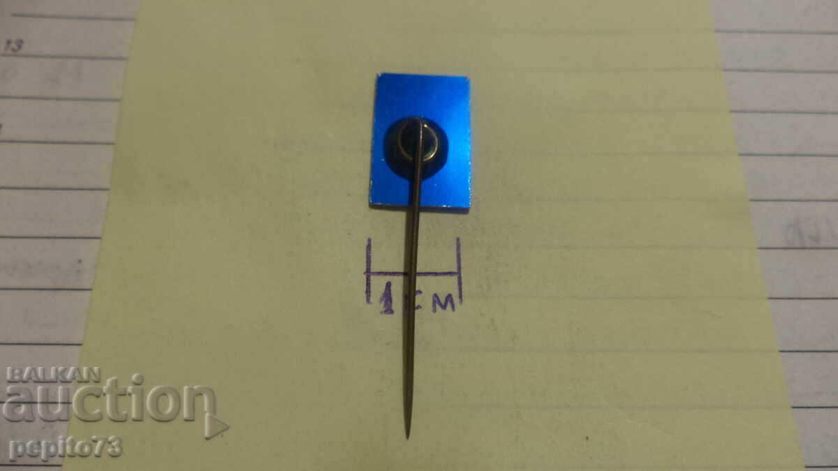 Insigna publicitară, AFGN, companie de asigurări - 5