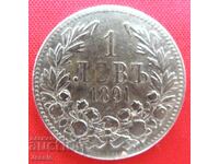 1 leu 1891 #2