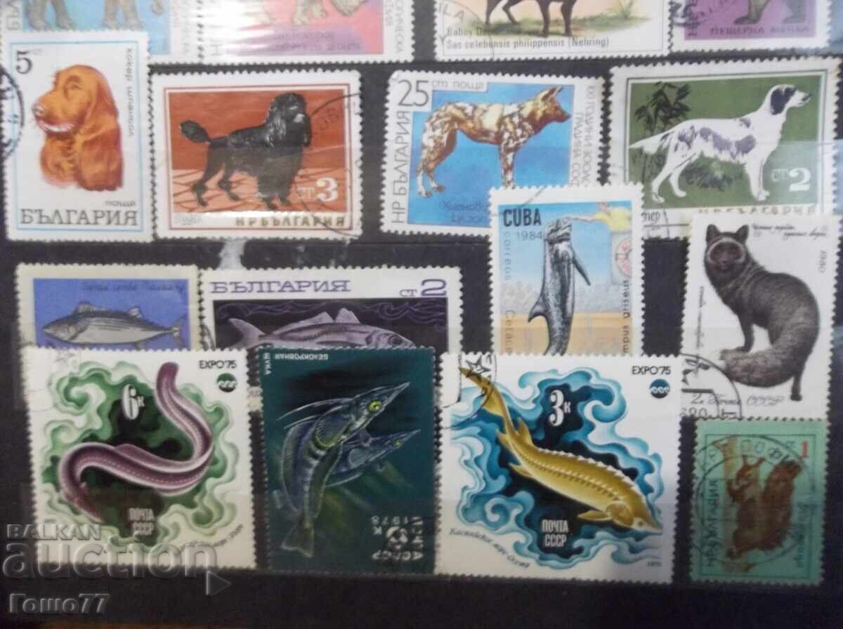 Mărci - 5 Mărci - 5