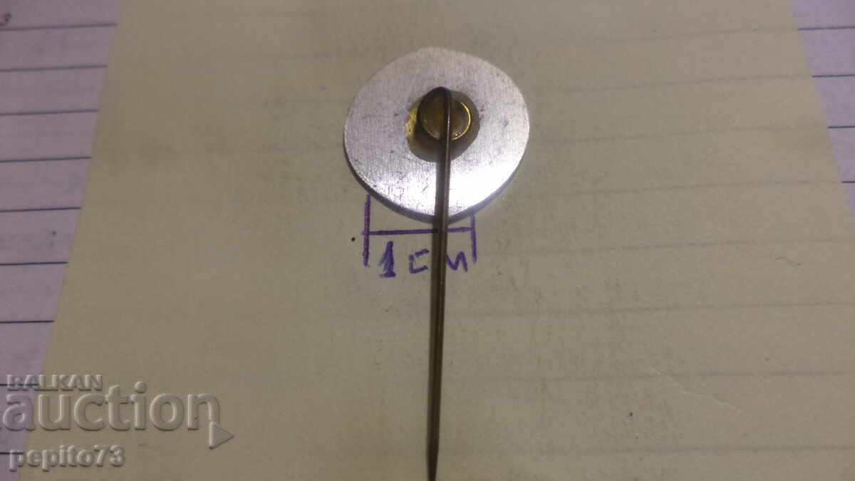 Livrarea Emblemă publicitară, Vară, companie de televiziune și radio