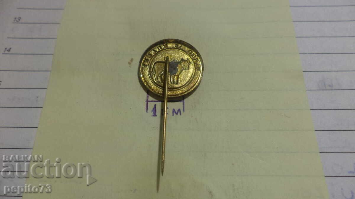 Livrarea Semn publicitar, Vlees is Kracht, magazin de măcelărie