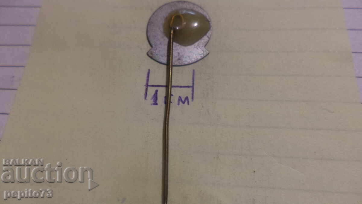 Доставка на значка рекламна ,Koolmees, голям синигер