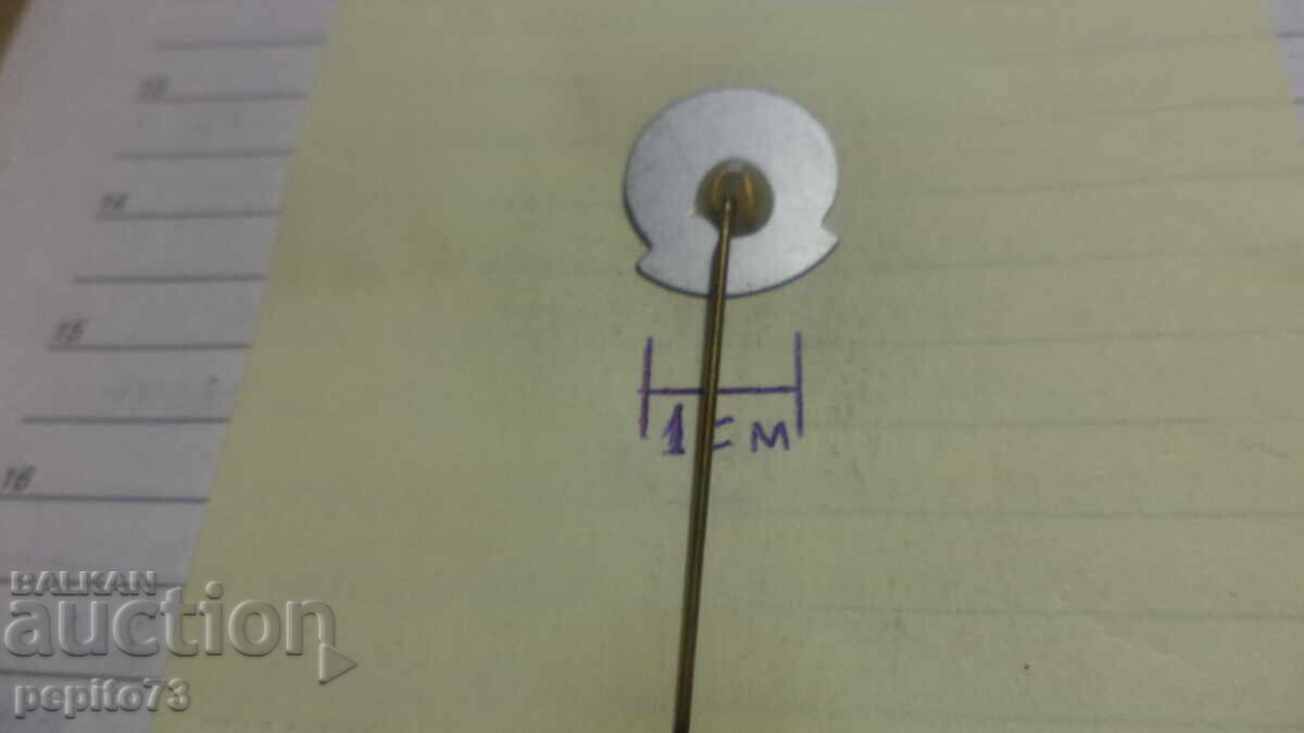 Delivery of Advertising badge, Witrufgaal, jay