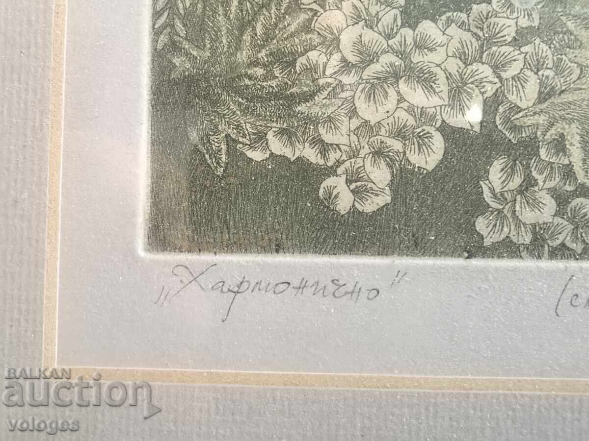 Livrarea În mod armonios, Yana Antonova