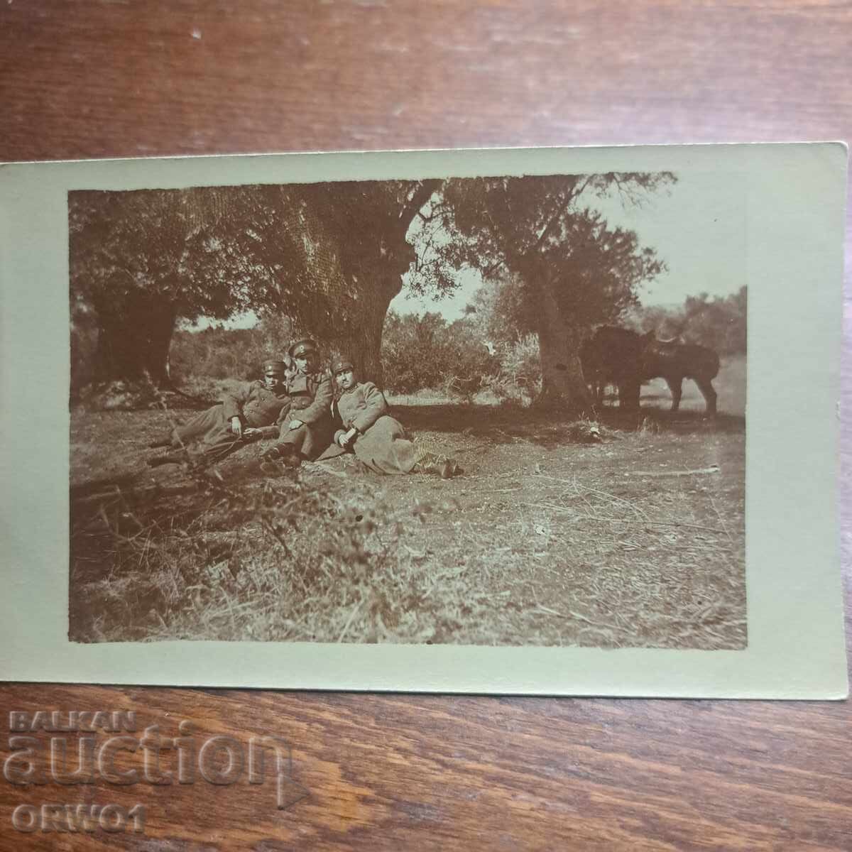 Macri 1918 5-lea art. Regiment Primul Război Mondial Regatul Bulgariei Macri 1918 5-lea art. Regiment Primul Război Mondial Regatul Bulgariei