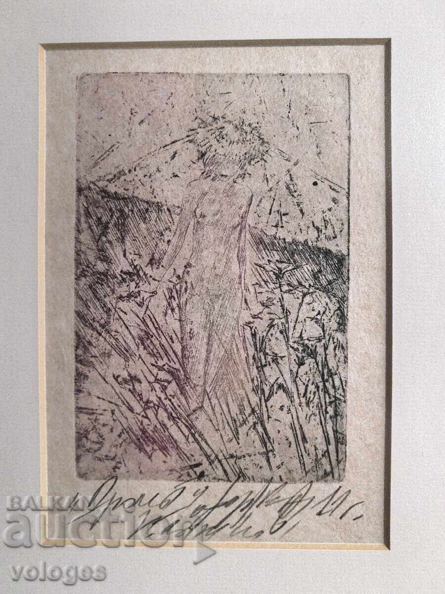 Licitație Primăvara, Nikolay Atanasov