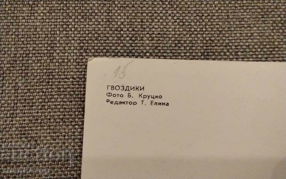 Доставка на Стара руска ретро поздравителна картичка карамфили кошница