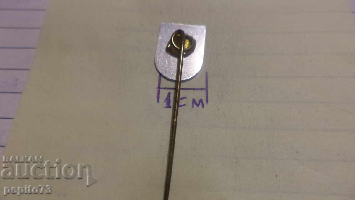 Delivery of Advertising badge, Glarus, canton in Switzerland, coat of arms