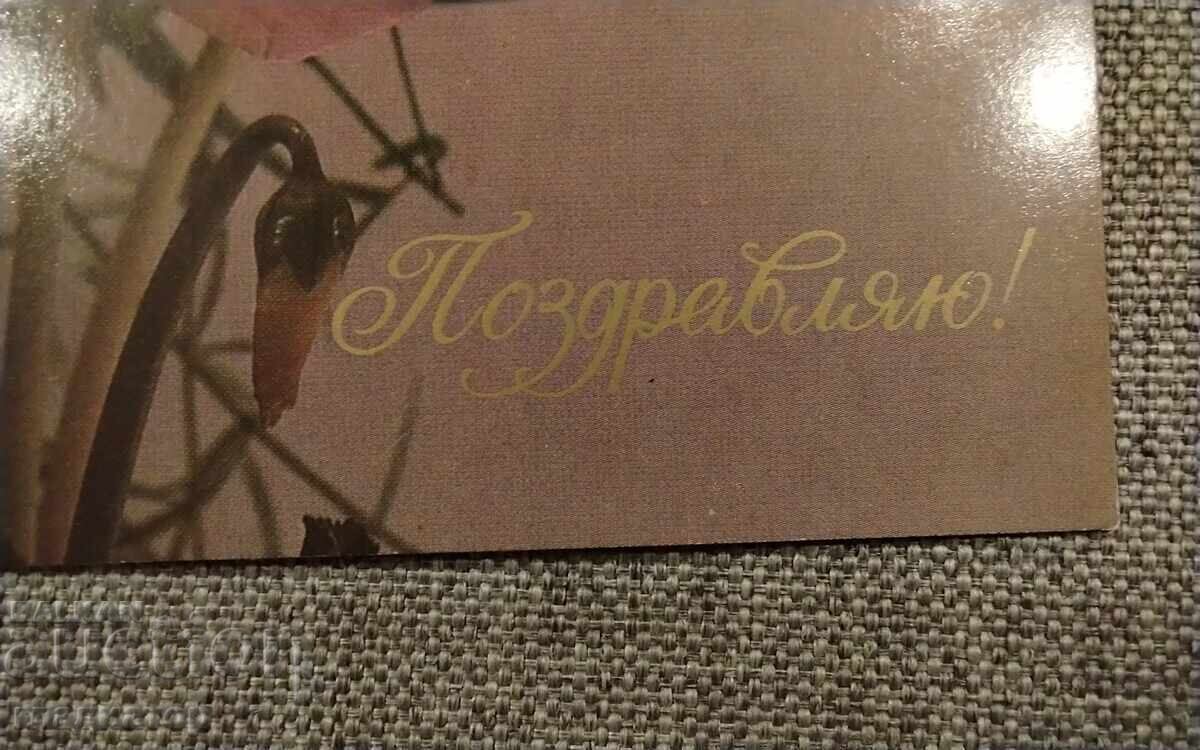 Παλιά ρωσική ρετρό ευχετήρια κάρτα με κυκλάμινο με τιμή € 0.30 | 0.59 BGN