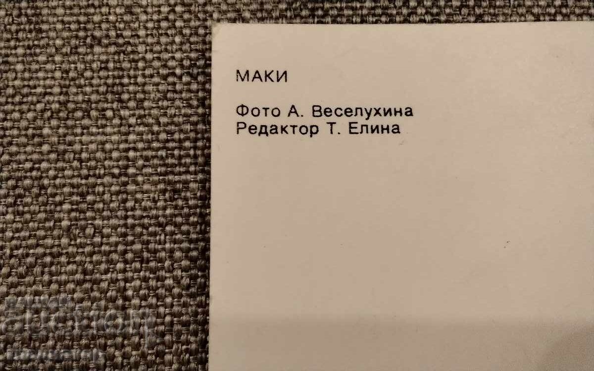 Livrarea Veche felicitare rusească retro maci mac