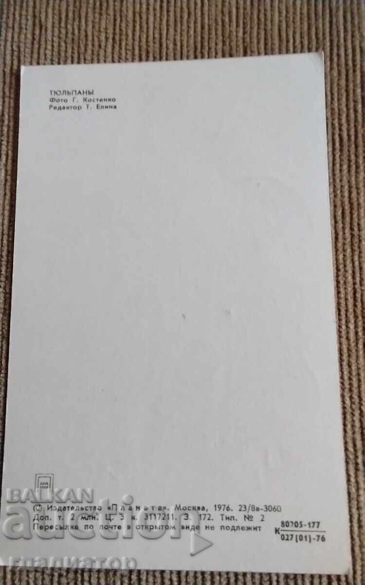 Veche felicitare retro rusească flori lalele lalea cu preț € 0.20 | 0.39 BGN