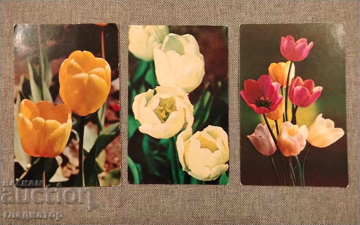 Veche felicitare retro rusească flori lalele lalea - 5