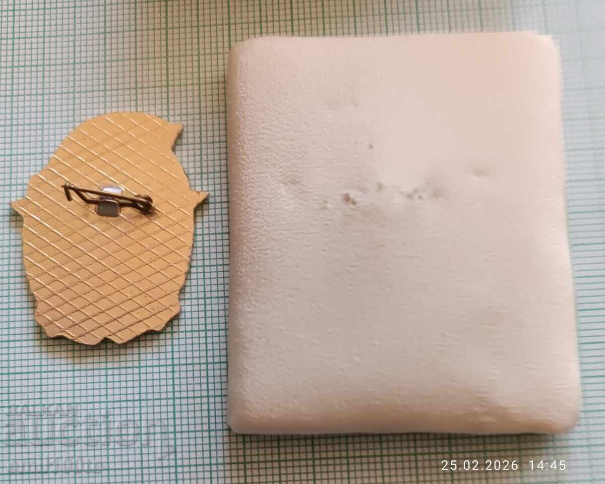 Значка- ДПО Отличник - 6