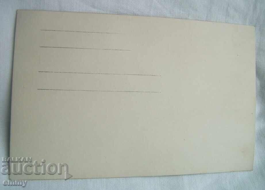 Licitație Fotografie veche de război - cavaleriști, ofițeri în uniforme pe cai