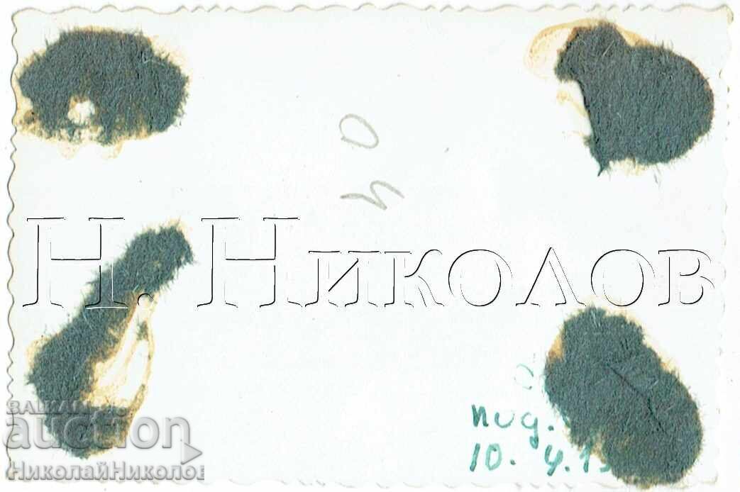 MICA POZĂ VECHE TANC TANCHIȘTI ZH261 cu preț € 2.00 | 3.91 BGN MICA POZĂ VECHE TANC TANCHIȘTI ZH261 cu preț € 2.00 | 3.91 BGN