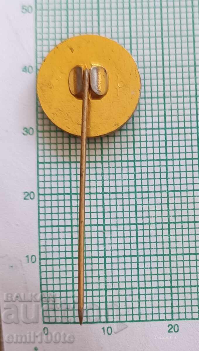 Delivery of Badge - Festival of Youth and Students