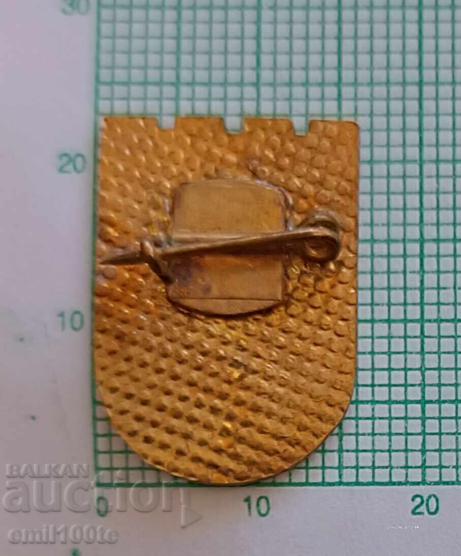 Insigna - stema Kyustendil - 5