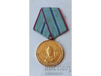 Medal for 20 years of impeccable service construction troops NRB