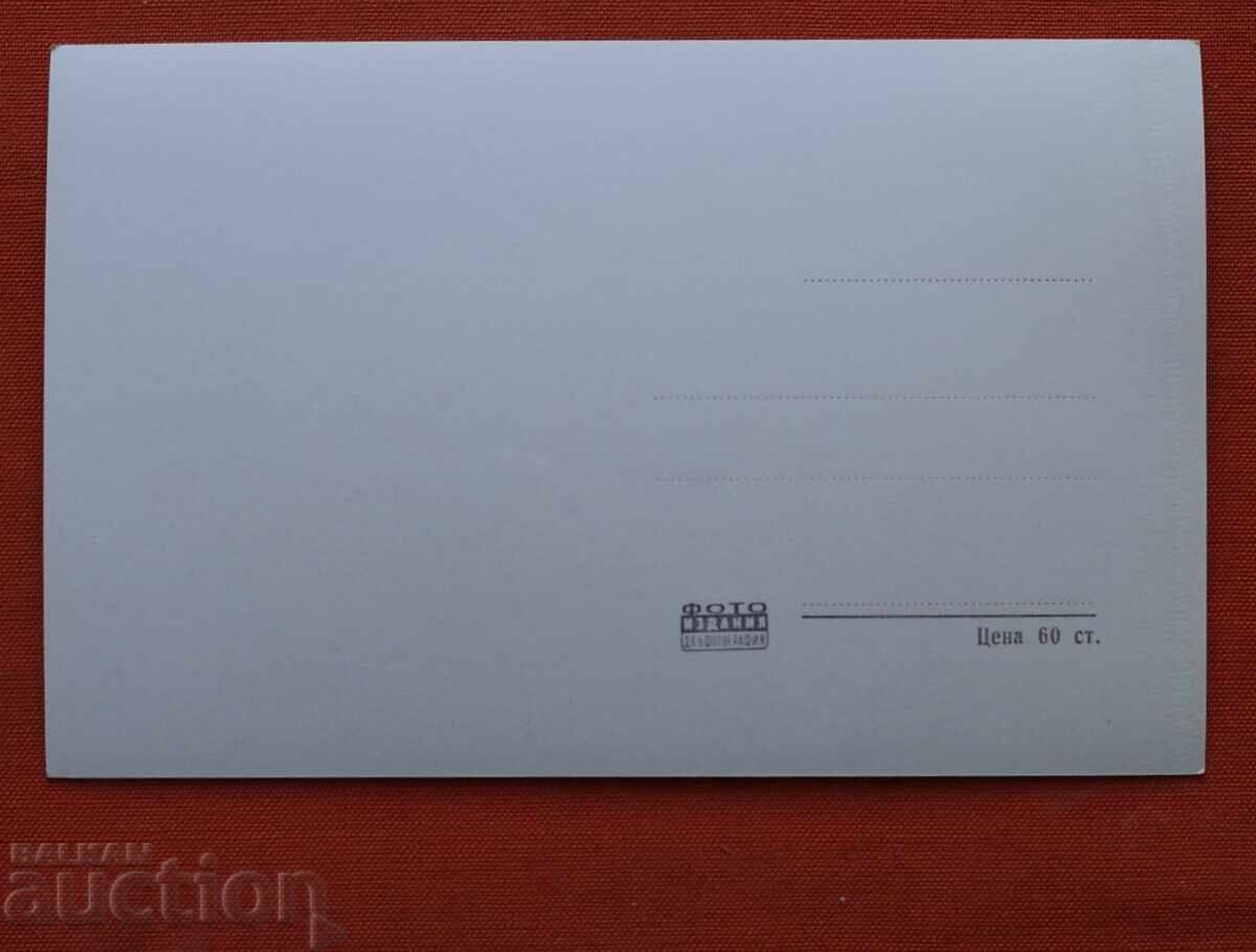 Дунава при Видин с цена € 2.00 | 3.91 лв.