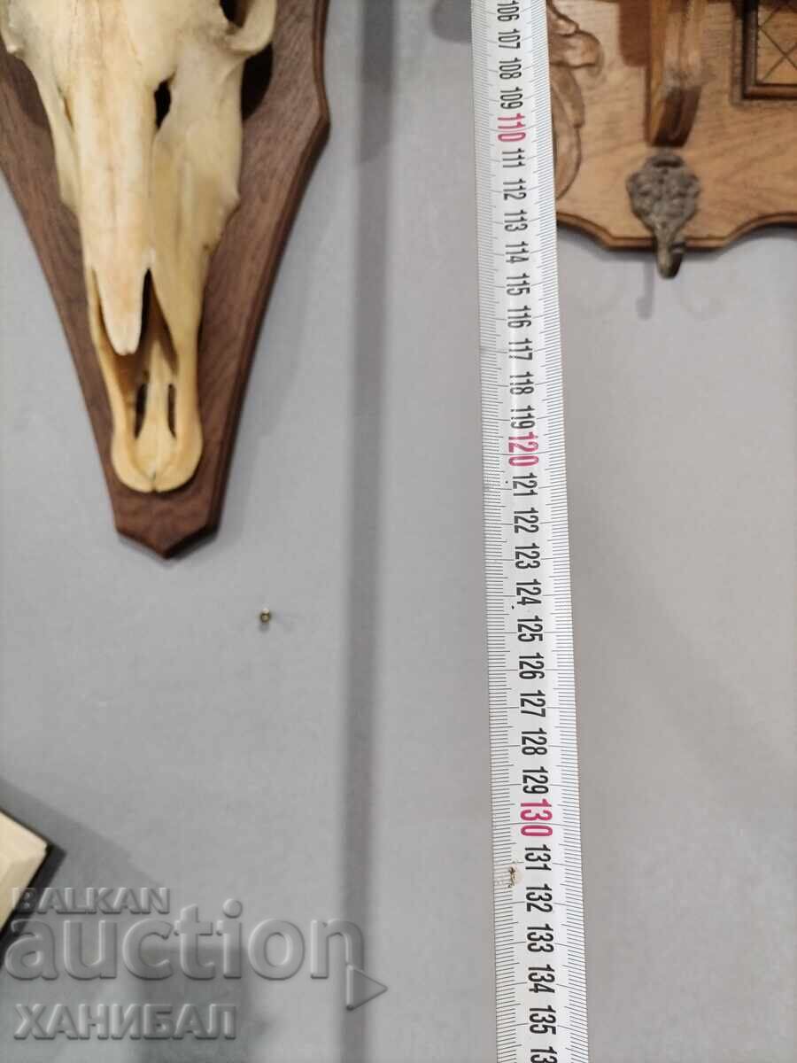 LARGE MUFLON HUNTING TROPHY, ANTELOPE - 6