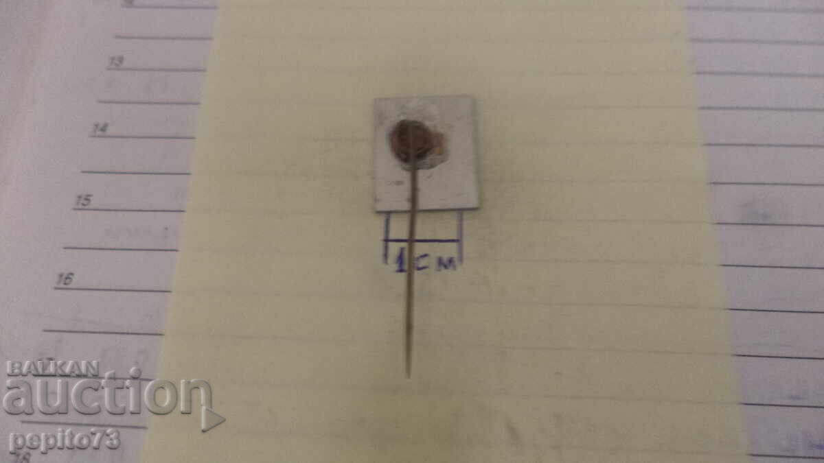 Livrarea Insigna publicitară, Nolen, marcă de produse de patiserie și dulciuri