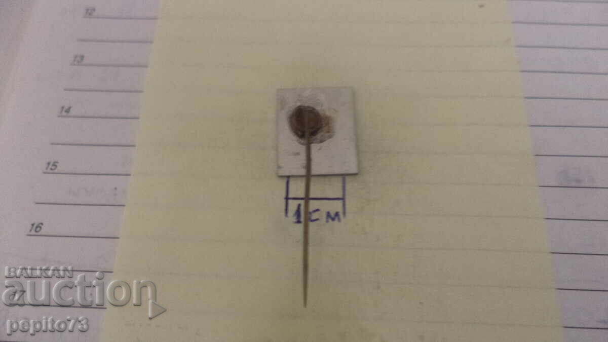 Insigna publicitară, Nolen, marcă de produse de patiserie și dulciuri - 5