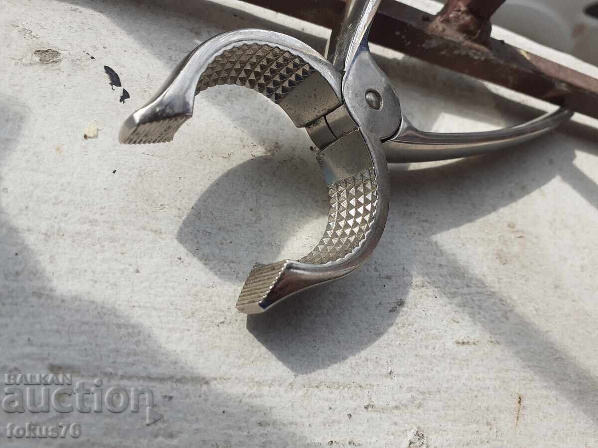 Delivery of High-quality German kitchen tool - Carl Mertens