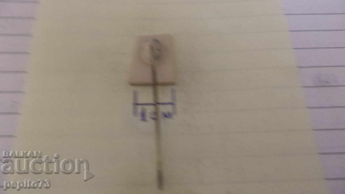 Delivery of Advertising Badge, Remia, Brand Margarine