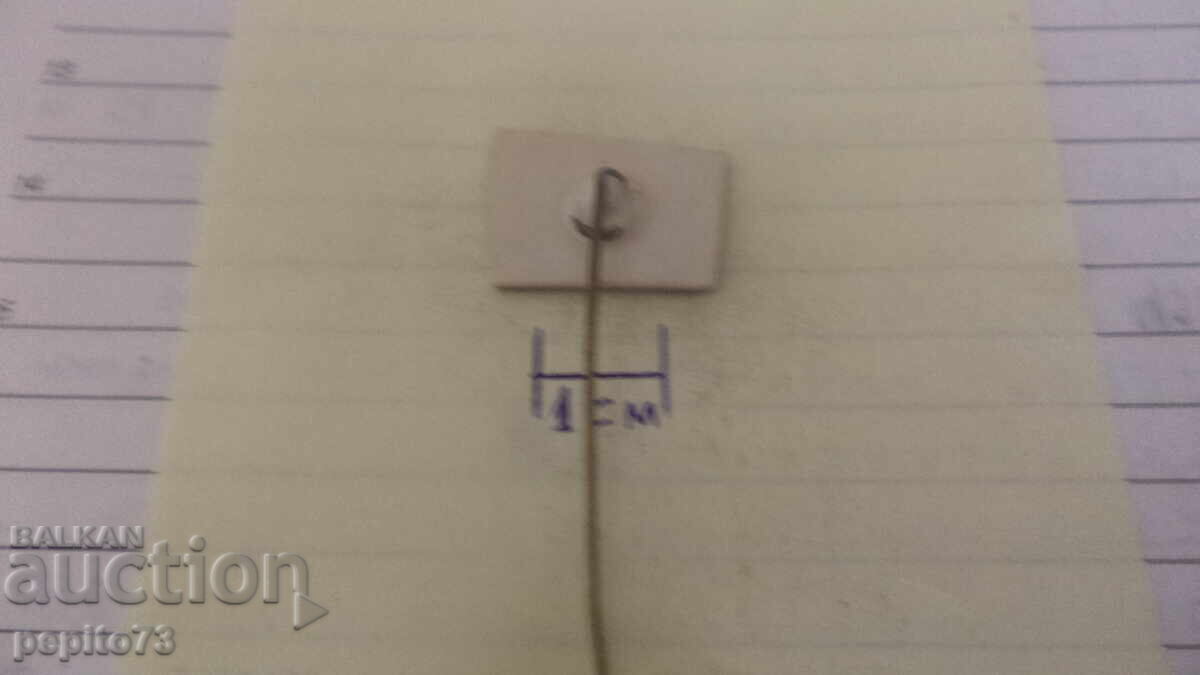 Livrarea Semn publicitar, Remia Kerstmis, margarină de Crăciun