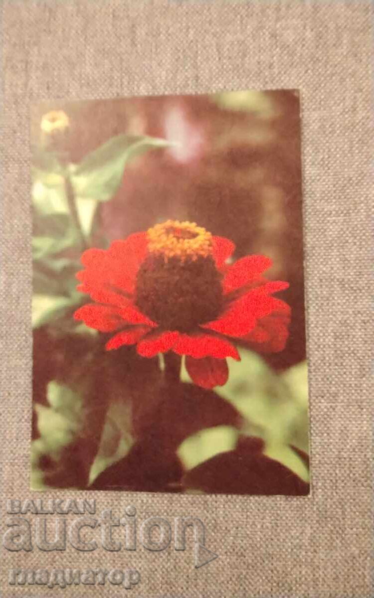 Old Bulgarian greeting card Old Bulgarian greeting card