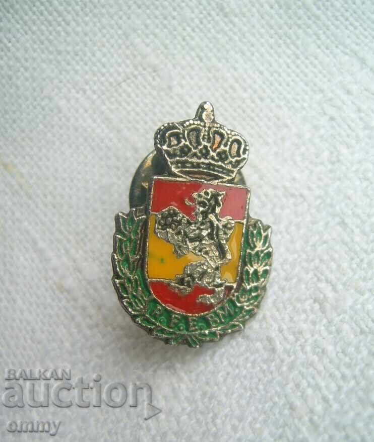 Значка - Кралска испанска федерация по хандбал, RFE BM