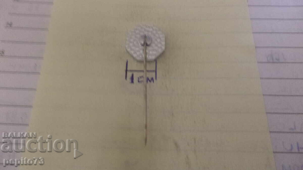 Доставка на значка рекламна ,SR1,регионална транспортна фирма