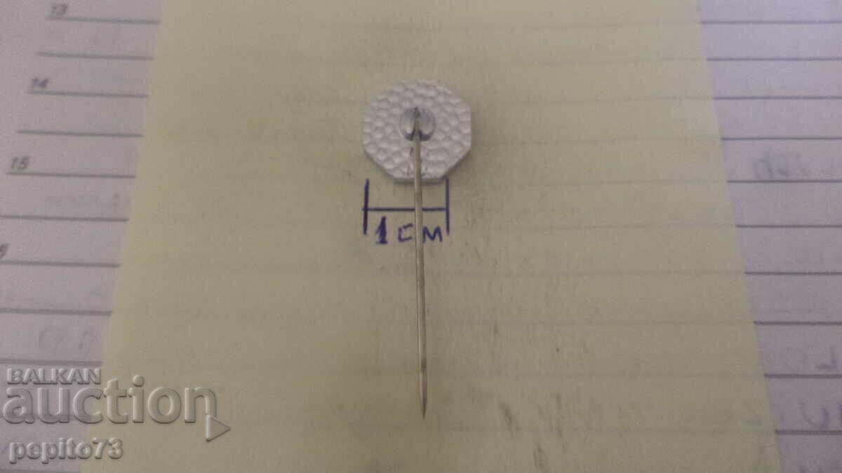 значка рекламна ,SR1,регионална транспортна фирма - 5