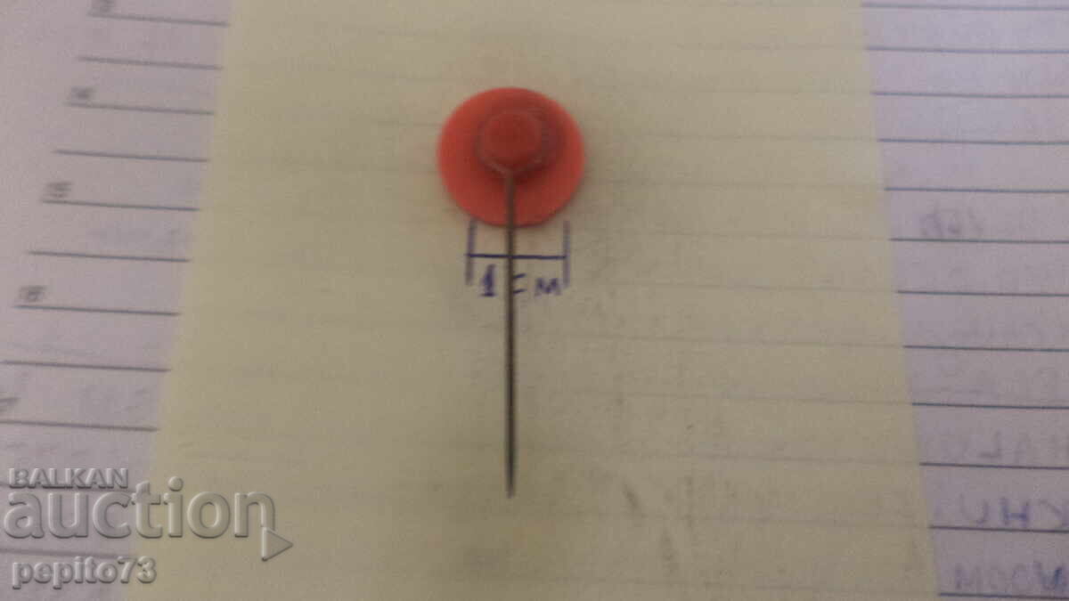 Livrarea Emblemă publicitară, Peter Bild, marcă camioane Livrarea Emblemă publicitară, Peter Bild, marcă camioane