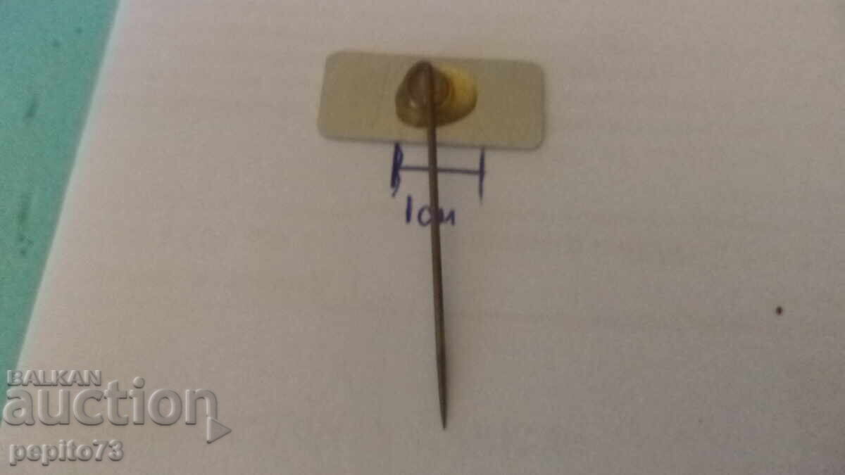 Livrarea Embleme publicitare, Sio Montage, marcă constructori Livrarea Embleme publicitare, Sio Montage, marcă constructori