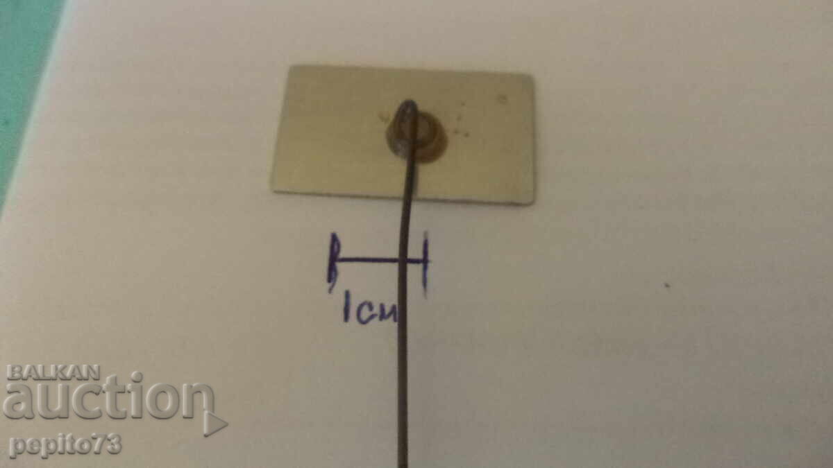 Livrarea znachka reklamna ,C. Jamin,tip biscuiți cu ulei