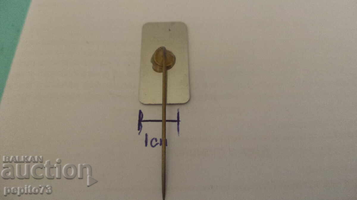 Доставка на значка рекламна ,VIVO Luxemboorg, търговска организация