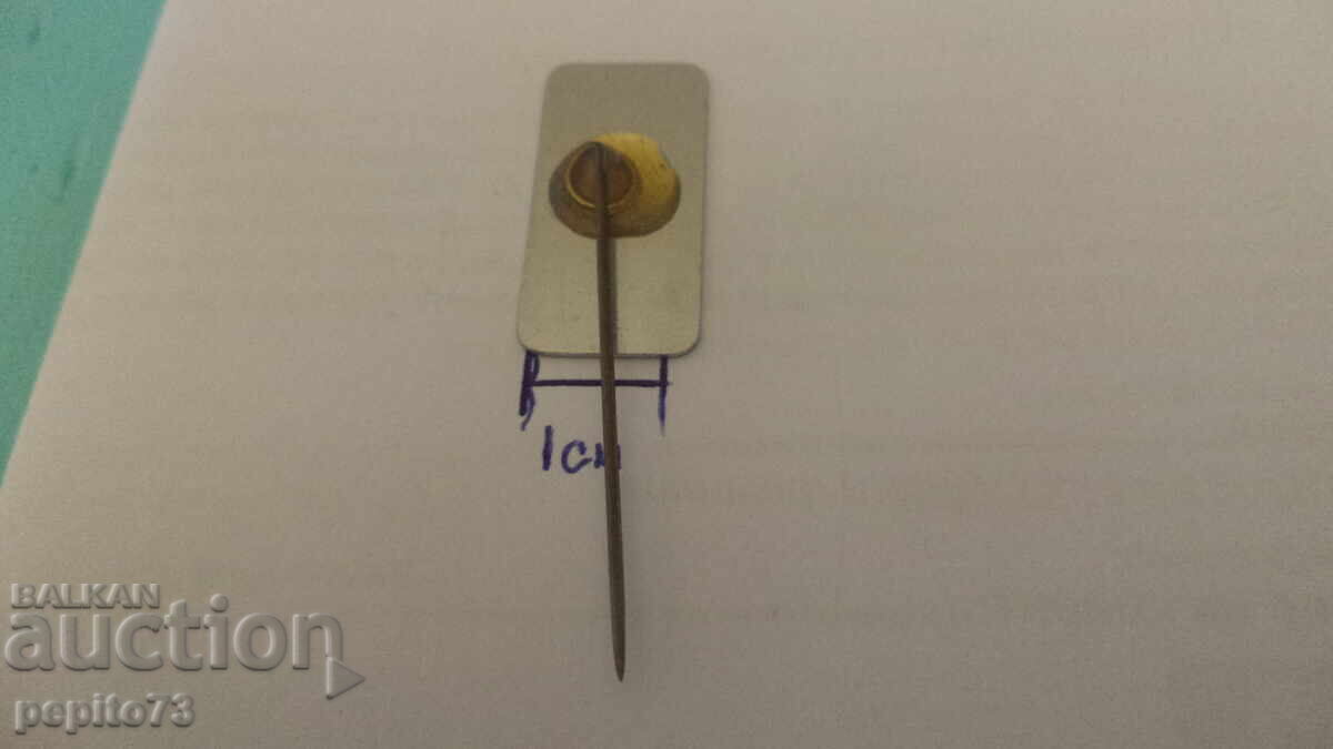 Delivery of Advertising badge, VIVO Eire, commercial organization