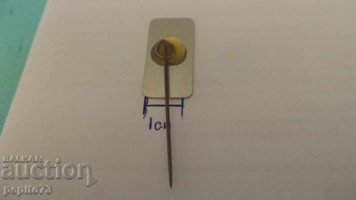 Advertising badge, VIVO Eire, commercial organization - 5