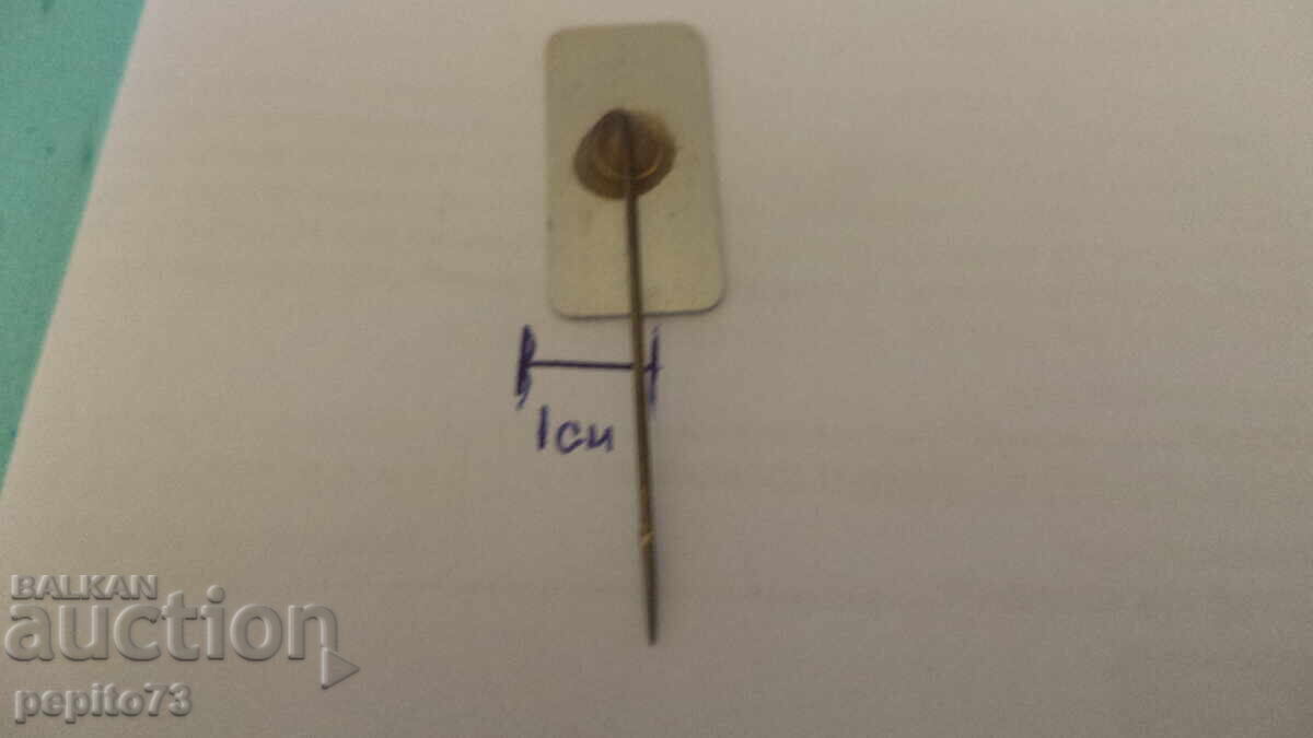 Livrarea Insigna publicitară, VIVO Italia, organizație comercială