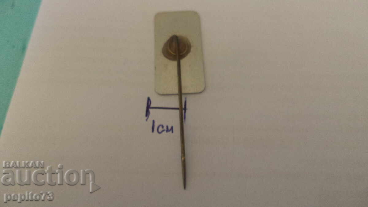 Insigna publicitară, VIVO Italia, organizație comercială - 5