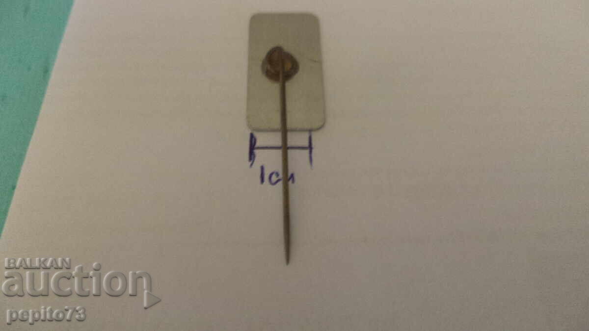 znachka reklamna ,VIVO Norge, tŭrgovska organizatsiya (Greek translation: Διαφημιστικό σήμα, VIVO Norge, εμπορικός οργανισμός) - 5