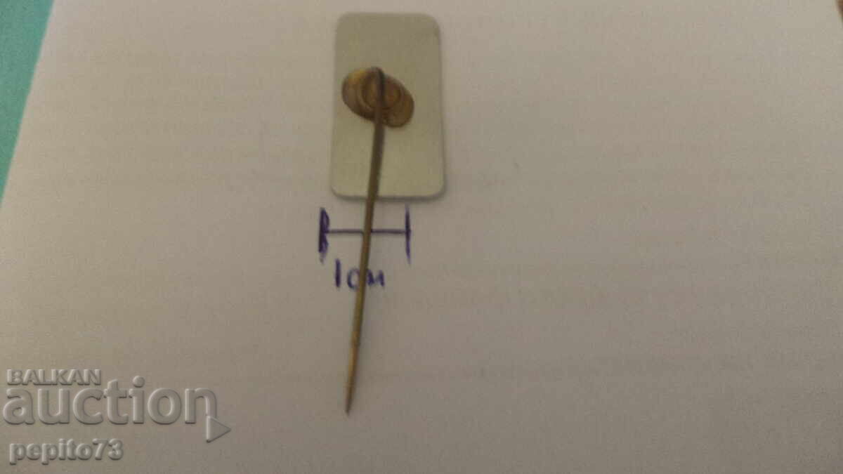 znachka reklamna ,VIVO Nederland, organizație comercială - 5