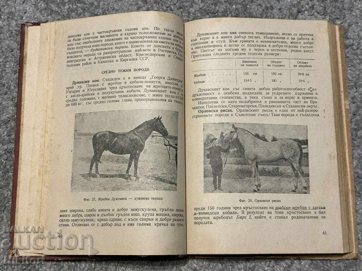 Наръчник по Коневъдство Земиздат 1952 - 6